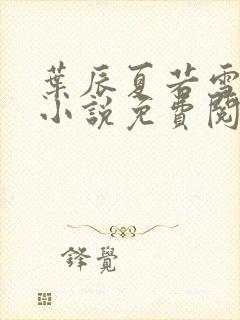 叶辰夏若雪孙怡小说免费阅读