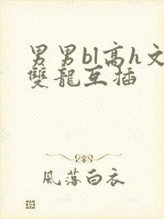 男男bl高h文双龙互插