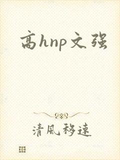 高hnp文强