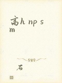高h np sm