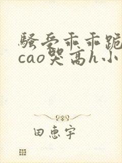 骚受乖乖跪趴被cao哭高h小说