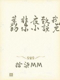 叶非夜致我最爱的你小说免费阅读