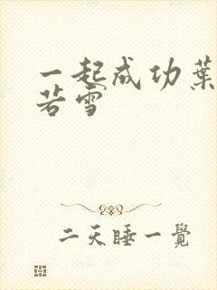 一起成功叶凡唐若雪封面