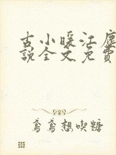 古小暖江尘御小说全文免费阅读