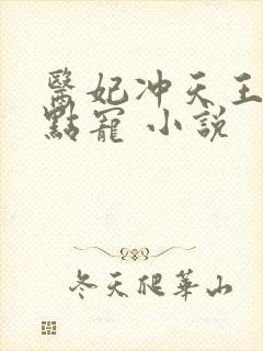 医妃冲天王爷轻点宠 小说