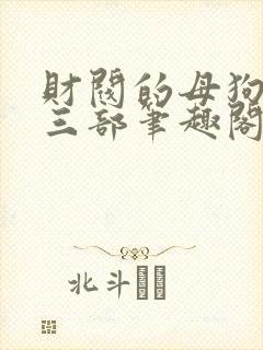 财阀的母狗们第三部笔趣阁小说