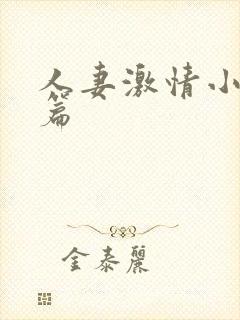 人妻激情小说短篇