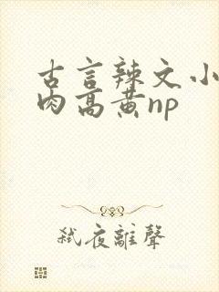 古言辣文小说多肉高黄np封面