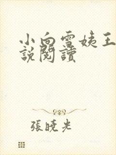 小向雪姨王浩小说阅读