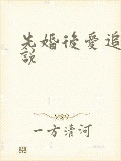 先婚后爱追妻小说