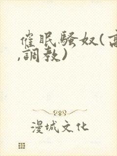 催眠骚奴(高h,调教)