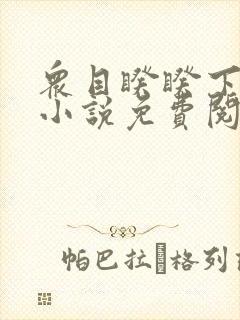 众目睽睽下的事小说免费阅读笔趣阁