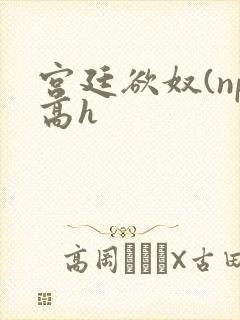 宫廷欲奴(np高h