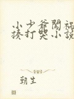 小少爷闯祸被挨揍打哭小说封面