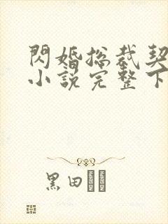 闪婚总裁契约妻小说完整下载