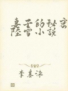 妻子的秘密王宇陆雪小说