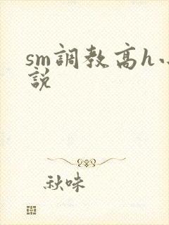 sm调教高h小说封面