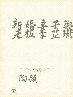 新婚妻子与买菜老板李芷珊小说免费