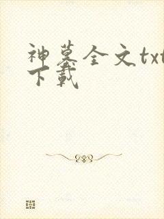 神墓全文txt下载