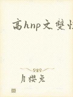 高hnp文双性