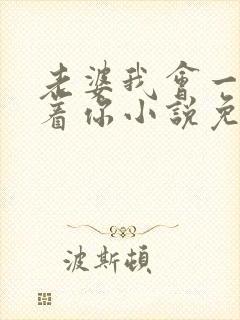 老婆我会一直缠着你小说免费阅读全文封面