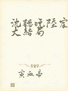 沈听晚陆宸小说大结局封面