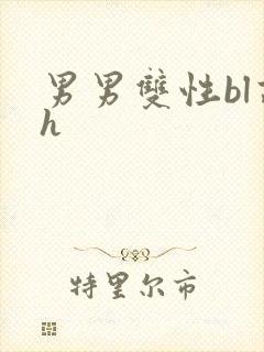 男男双性bl高h封面