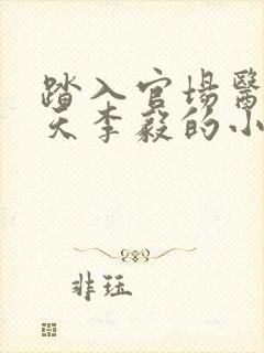 踏入官场医道问天李毅的小说封面