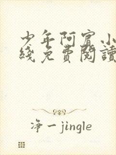 少年阿宾小说在线免费阅读