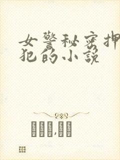 女警秘密押解男犯的小说封面