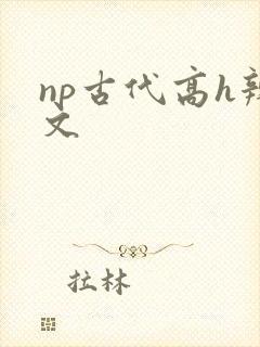 np古代高h辣文封面