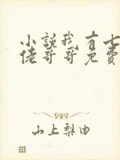 小说我有七个大佬哥哥免费阅读