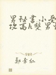 男秘书小受引诱攻高h双男快穿