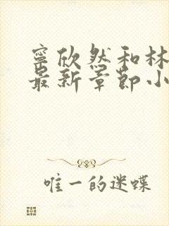 宁欣然和林峰的最新章节小说名字