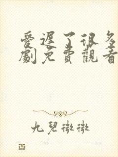 爱迟了很多年短剧免费观看全集封面