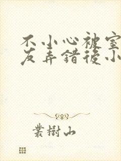 不小心被室友男友弄错后小说封面