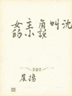 女主角叫沈青岚的小说封面