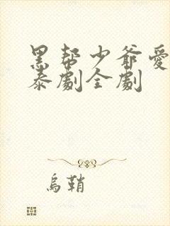 黑帮少爷爱上我泰剧全剧