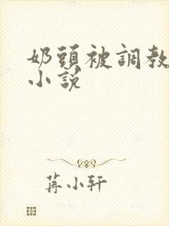 奶头被调教大的小说