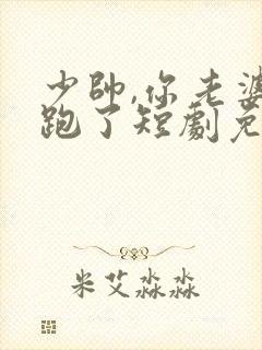 少帅,你老婆又跑了短剧免费大结局