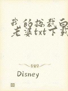 我的总裁白富美老婆txt下载