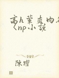 高h荤爽肉欲文〈np小说