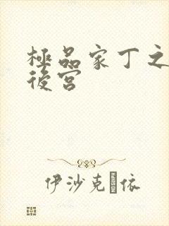 极品家丁之萧壮后宫