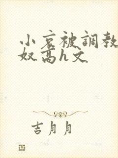 小哀被调教成肉奴高h文