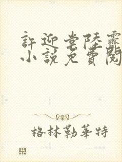 许迎棠陆霁野的小说免费阅读最新章节