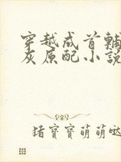 穿越成首辅的炮灰原配小说免费阅读