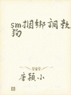sm捆绑调教母狗
