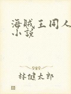 海贼王同人完本小说封面