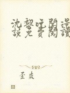 沈黎晚闻璟川小说免费阅读最新章节