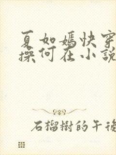 夏如嫣快穿之节操何在小说免费阅读封面